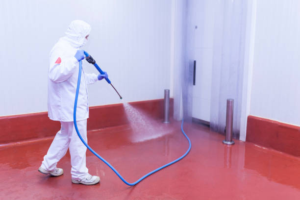 Spring Cleaning in Depew, NY